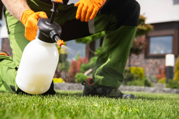 Pest Control for Restaurants in Rushville, IL