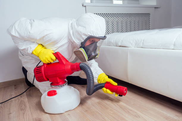 Best Bed Bug Extermination  in Rushvle, IL