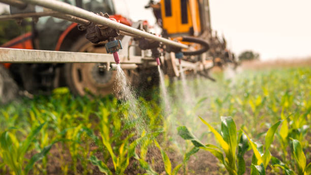 Best Wildlife Control Services  in Rushvle, IL